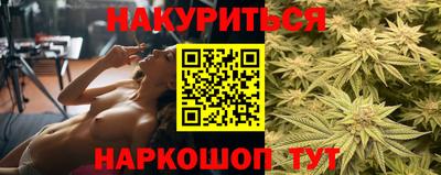 стафф Будённовск
