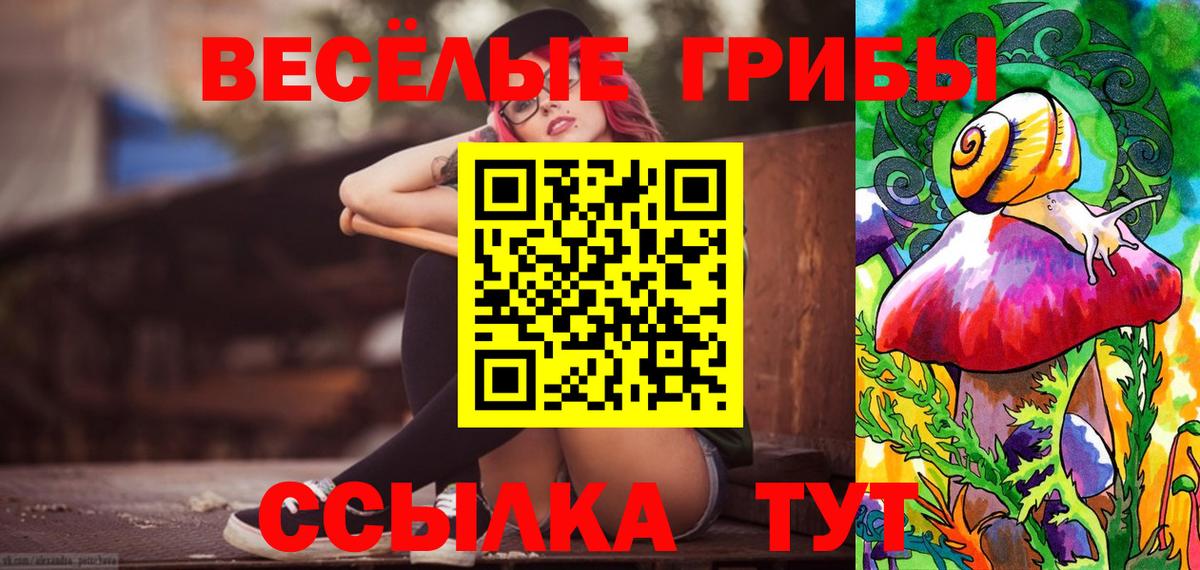 Псилоцибиновые грибы Magic Shrooms  где найти наркотики  Новотроицк  Вход с VPN  Псилоцибиновые грибы ЛСД 