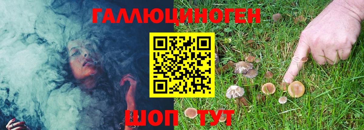 Псилоцибиновые грибы GOLDEN TEACHER Новотроицк